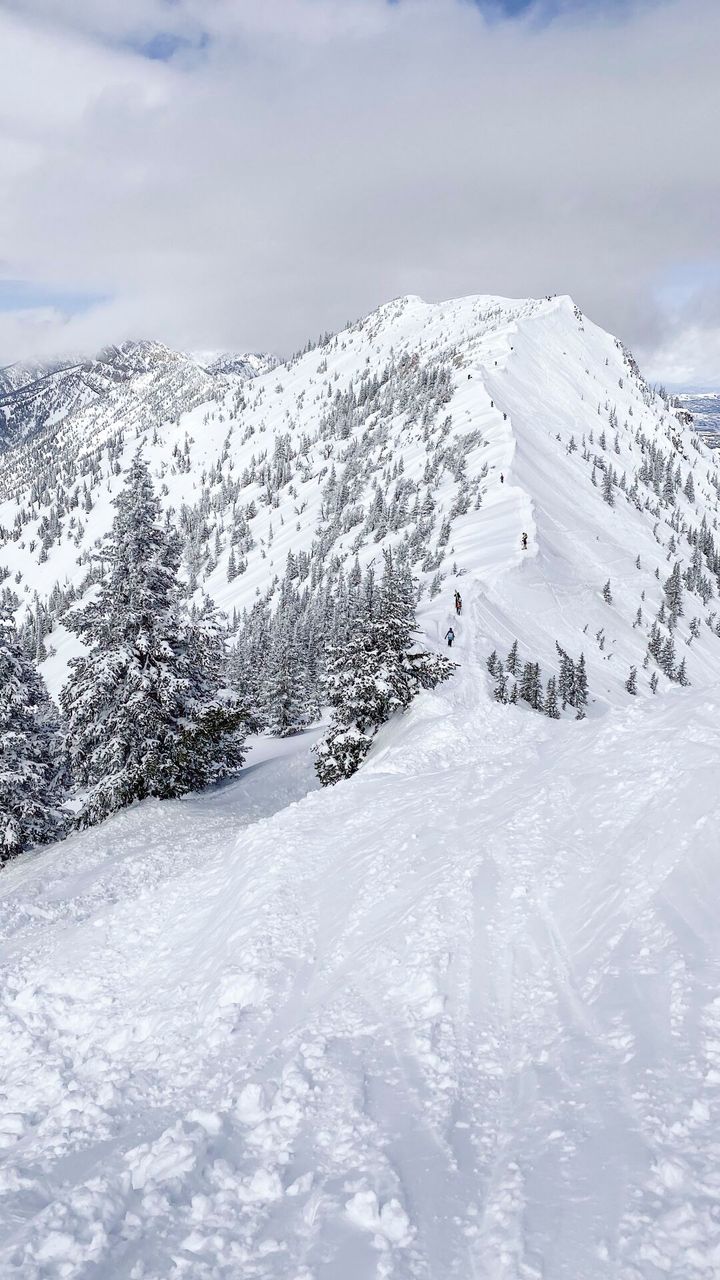 Trekking through the history of Bridger Bows