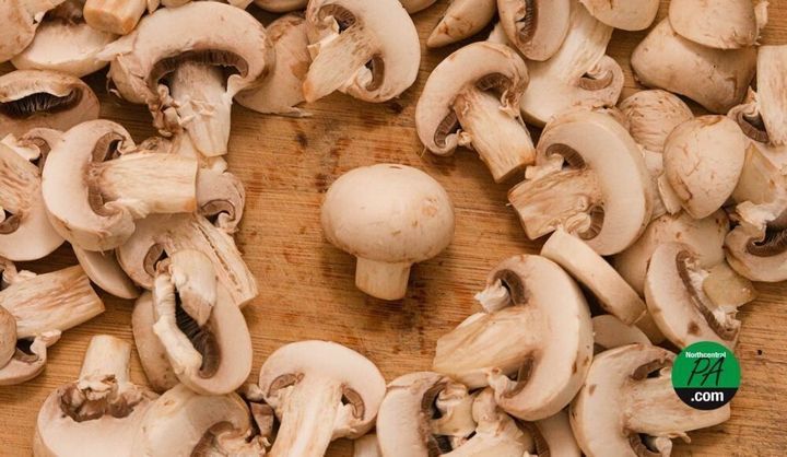 Congress members recognize Pa. farmers with National Mushroom Day
