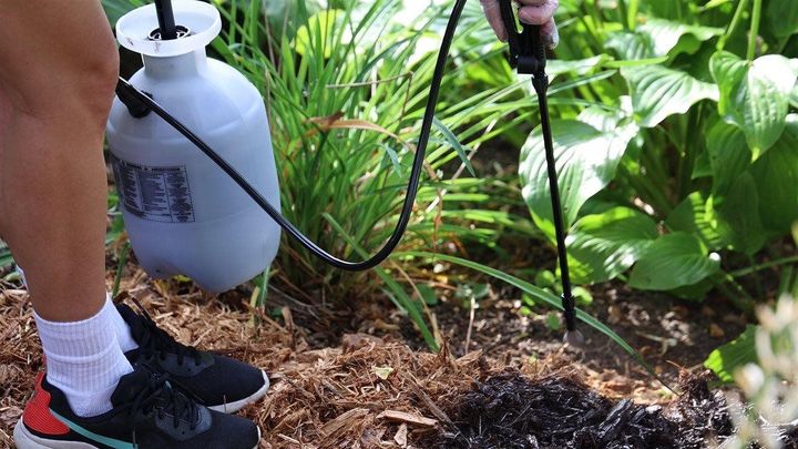 Easy spring lawn and garden updates you can do in a weekend (or less)
