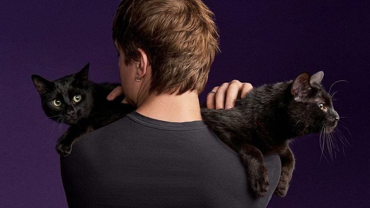 6 assumptions that could keep you from being a great cat dad