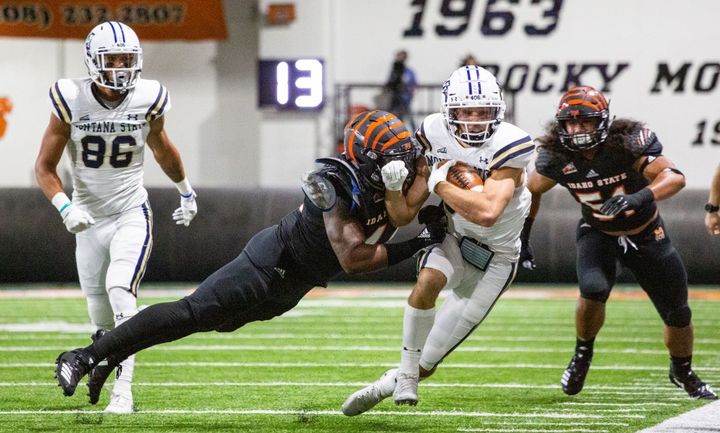 Bobcats Come Up Short, Fall to Bengals