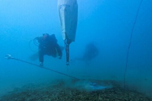Greece hopes eco moorings will protect vital seagrass colonies
