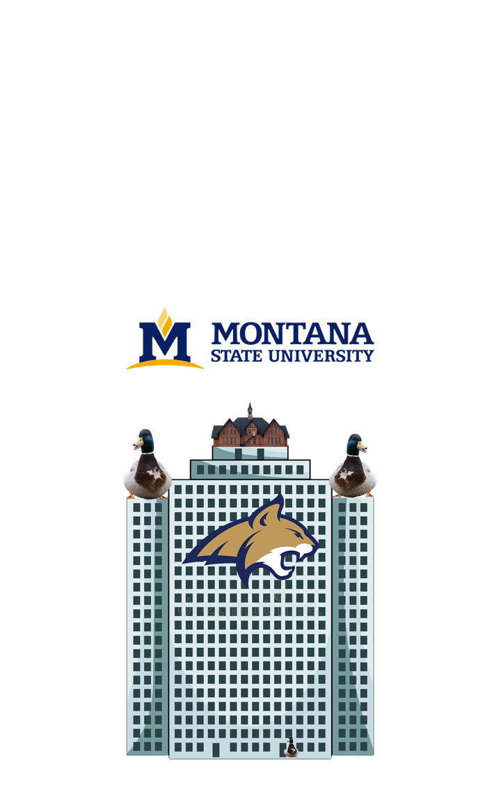 MSU Wholeness Center: a “whole-listic” approach