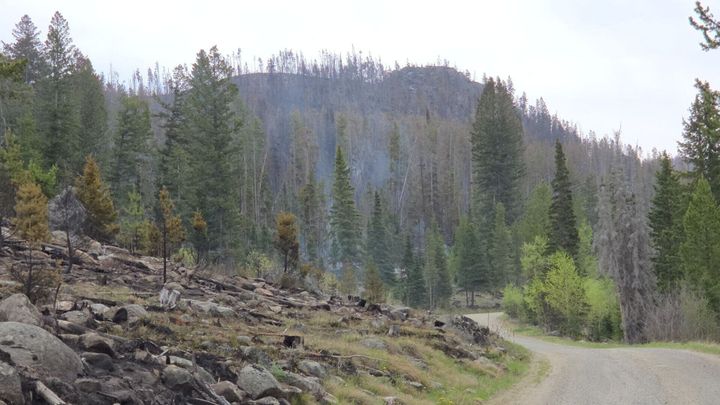 Jericho Creek fire near MacDonald Pass holds at 2,068 acres