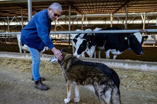 Under Hezbollah fire, people in north Israel hope for better days