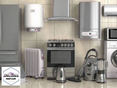 The Essential Guide to Year-Round Pest Management in OKC by Appliance Repair OKC Services