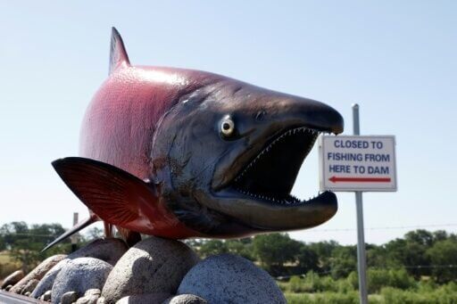 Funny old world: the week's offbeat news