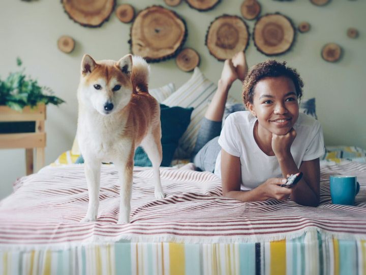 What do dogs need for a well-adjusted life?