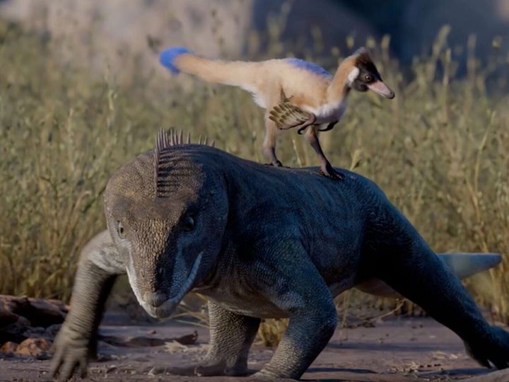 90-million-year-old fossil of ‘missing link’ bird-like dinosaur discovered