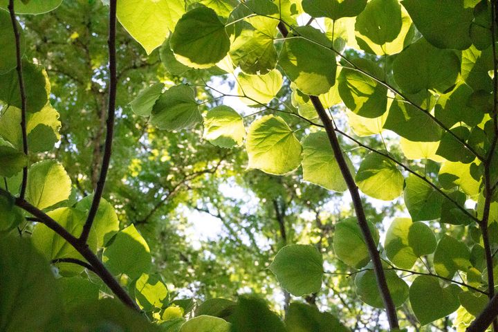 EPA awards MSU grant for pollution prevention