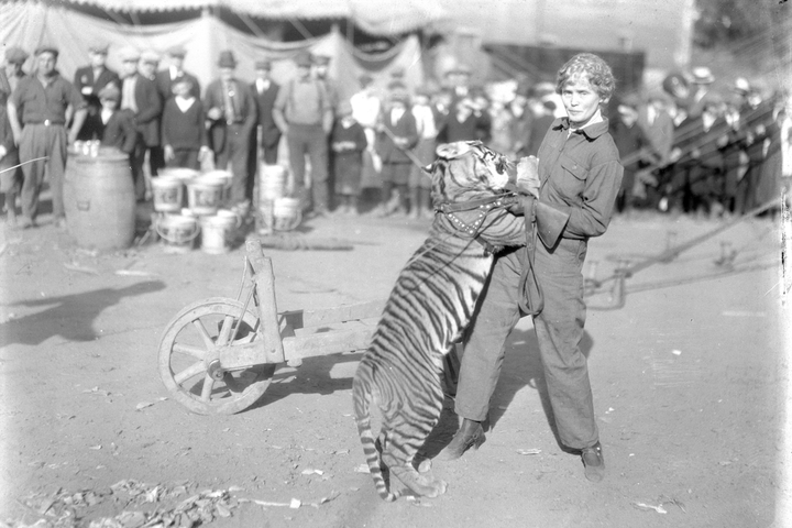 The inspiring and tragic story of Mabel Stark, America’s most famous female tiger trainer