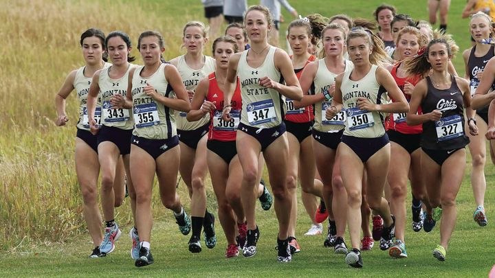 Cross country teams up and running ahead of big races