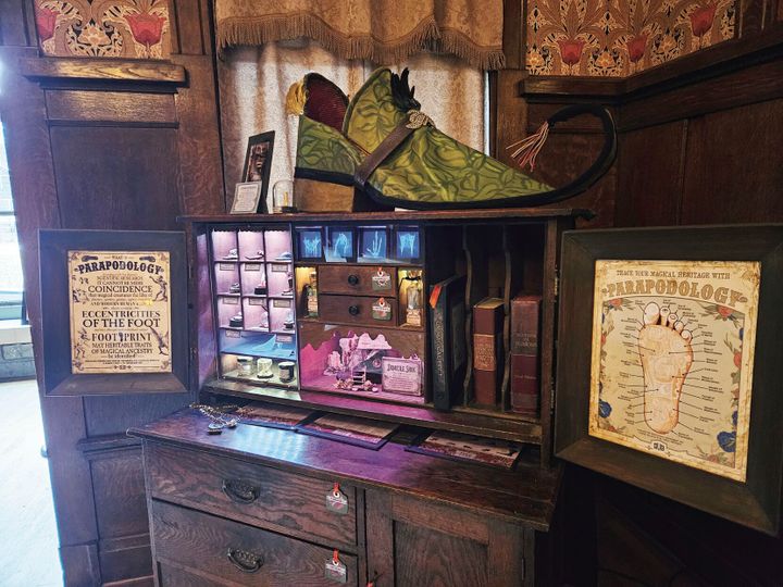 Magical discoveries in the center of Bozeman at the Cabinets of Curiosity