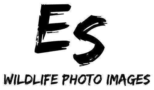ES Wildlife Photo Tours Announces Nunavik Arctic Expedition by Eric Seemann
