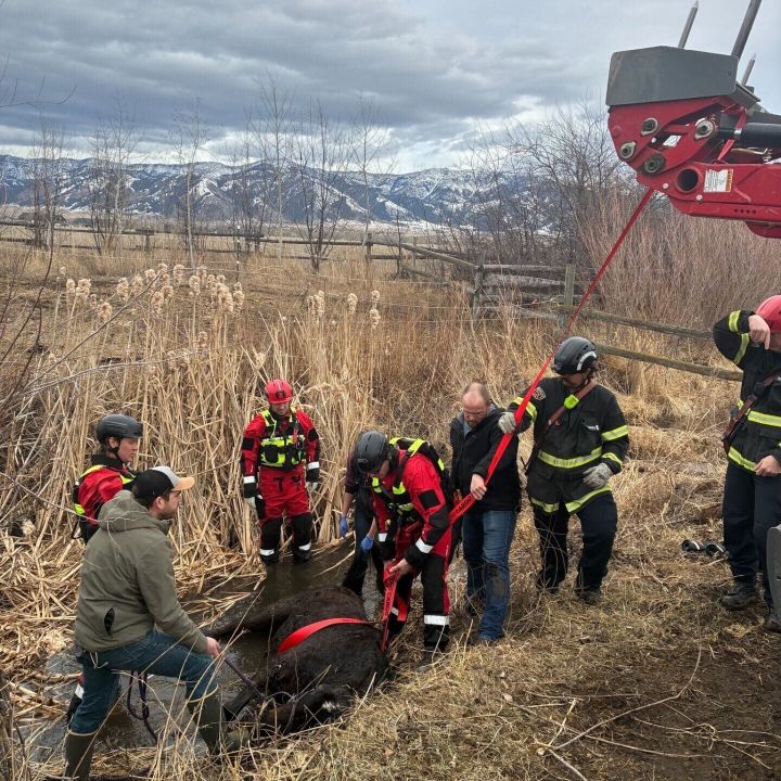 Central Valley Fire District rescues horse that had fallen from a bridge