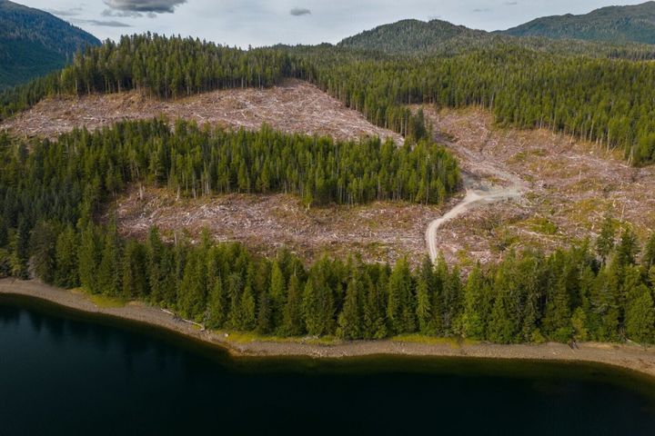 USDA Forest Service Moves to Open 1,600+ Acres of Alaska’s Tongass to Logging