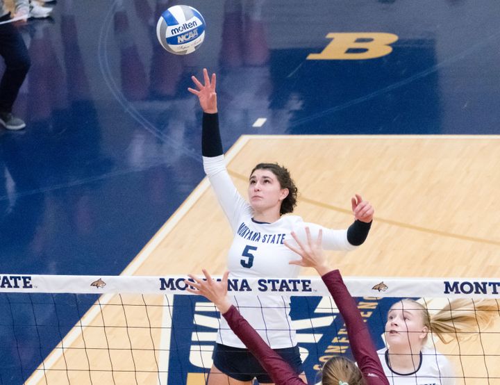 Bobcat volleyball sweeps Griz