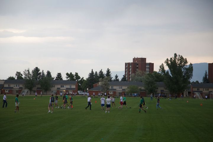 Interface with intramural sports on campus