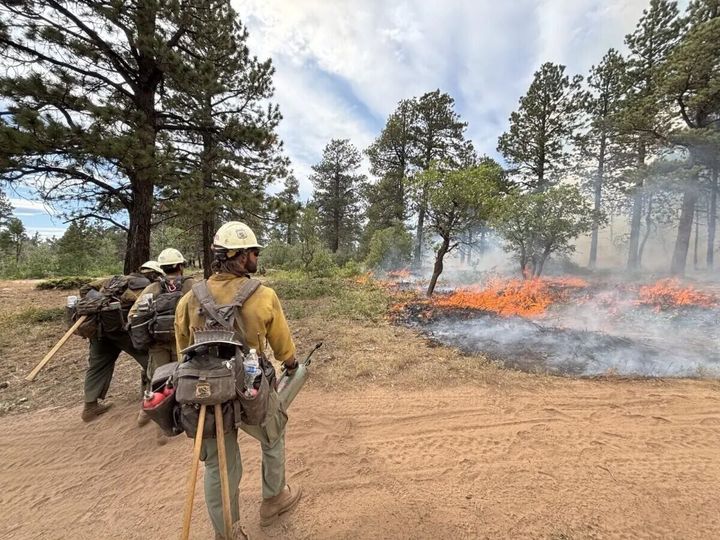 As fire season bears down, fractured federal wildland fire service complicates efforts