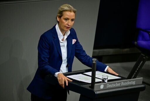 German court rules spy service may not label AfD 'extremist' for now