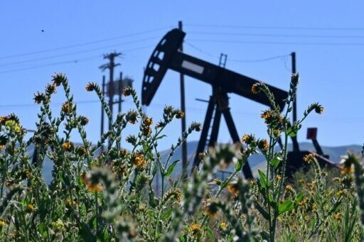 Oil prices dive as IEA eyes emergency release with Hormuz Strait in focus