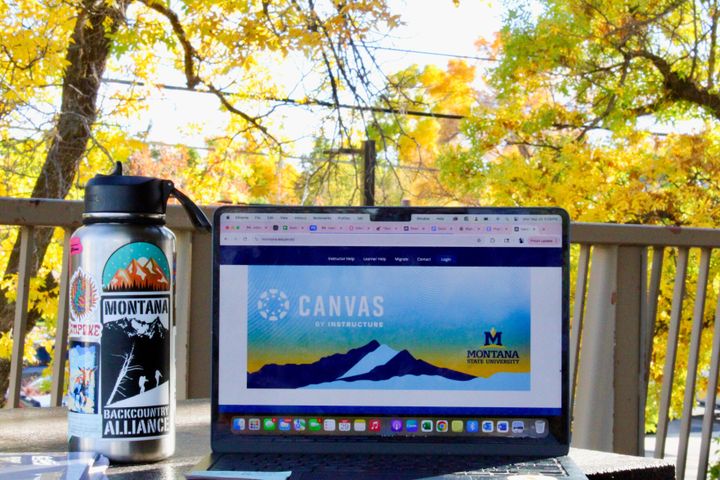 How MSU students are handling the transition to Canvas
