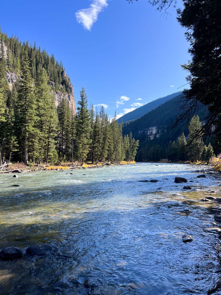 Gallatin Watershed Council hosts seventh annual river cleanup