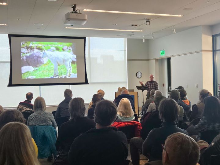 “Scaling New Heights” highlights mountain goat conservation