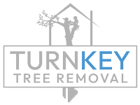 TurnKey Tree Removal Launches Termite Treatment Service for Trees and Woody Landscape Plants