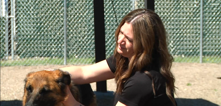 Great Falls shelter worker nears animal chaplain certification