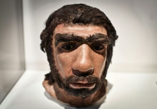 The sex lives of Neanderthal males - and human females