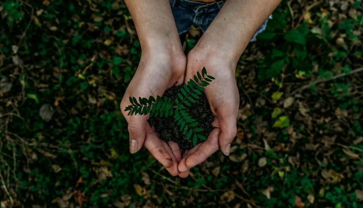 Do you know when Earth Day is? Most don’t