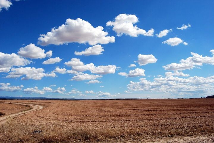 Solis Capital Announces Verdantis.io, A Central Asia Carbon Project Origination Platform