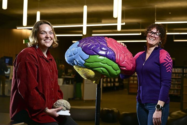 UM grant brings brain science to Montana students
