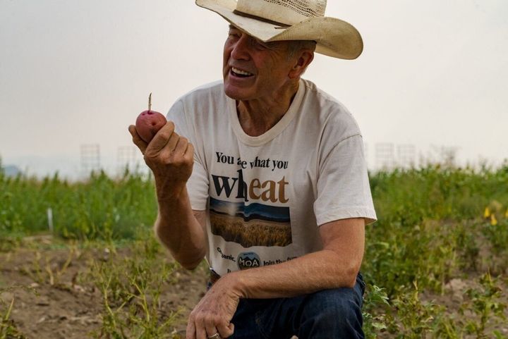 In farm bill fight, Montana congressmen at odds with MAHA majority