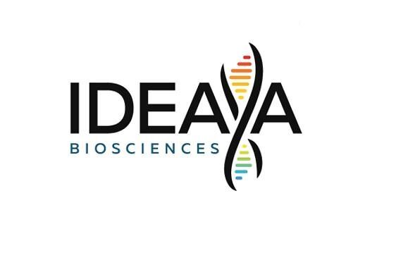 IDEAYA Biosciences and Servier Provide Complete Data from Phase 2/3 Registrational OptimUM-02 Trial of the Darovasertib Combination in First Line HLA*A2:01 Negative Metastatic Uveal Melanoma in a Late-Breaking Oral Presentation at ASCO