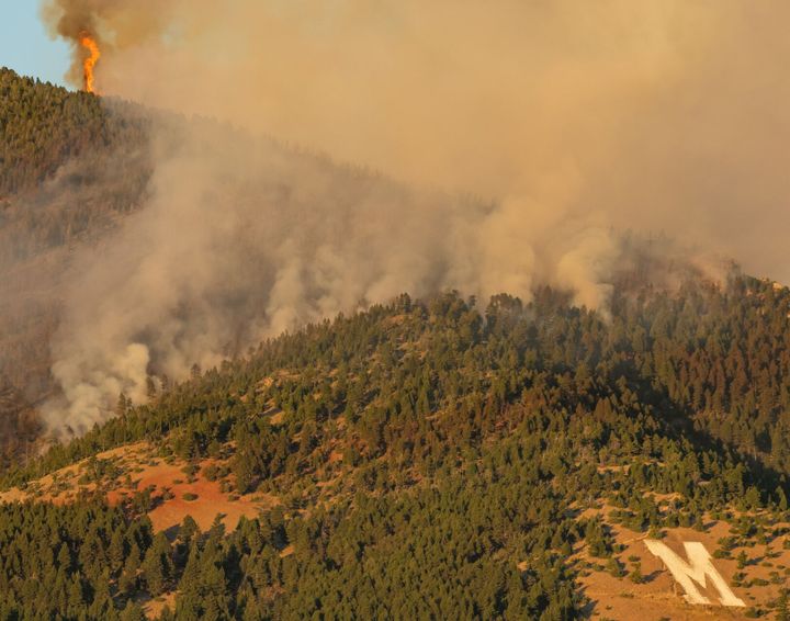 Only You Can Prevent Wildfires