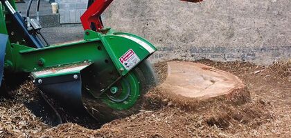 Smart Tree Service Expands Emergency Response Capabilities for Storm-Damaged Trees