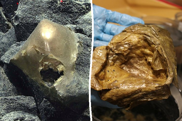 Mystery of ‘golden orb’ found at bottom of ocean finally solved