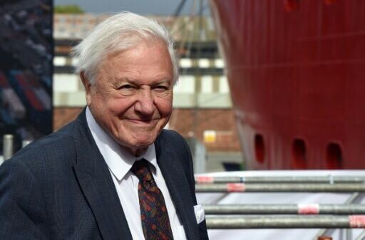 100 years on Earth: Iconic naturalist Attenborough marks century