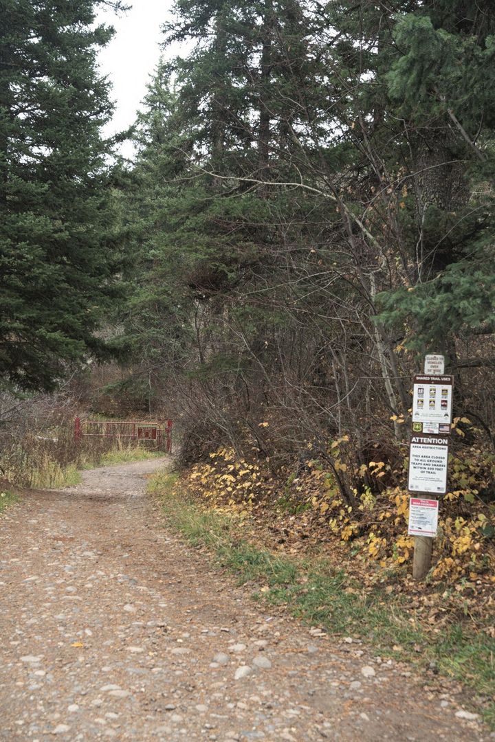 Sharing the trail