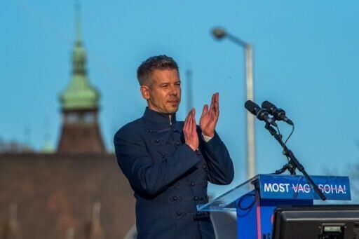 Peter Magyar: former govt insider promising system change