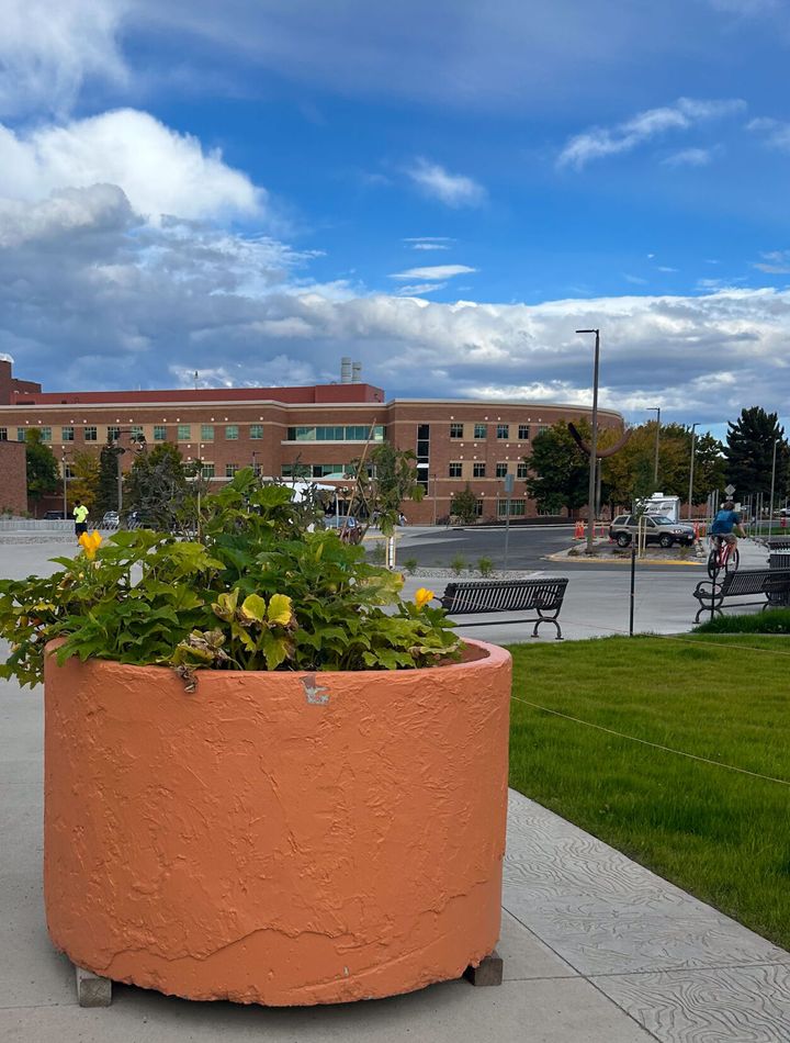 Landscaping and Grounds Crew sprout a fresh variety of produce around campus