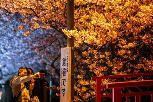 Chinese tourists ditch Japan for third month running
