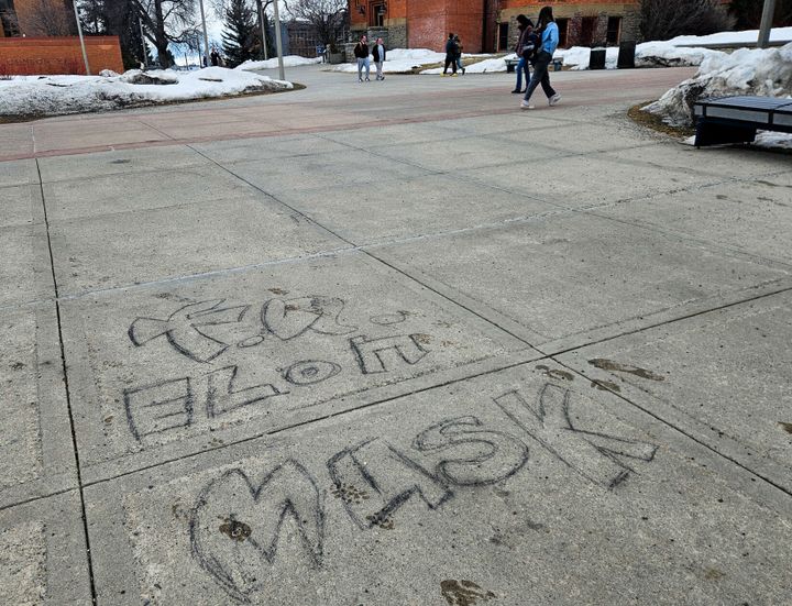 MSU Students Give Opinions on Elon Musk’s Unelected Role