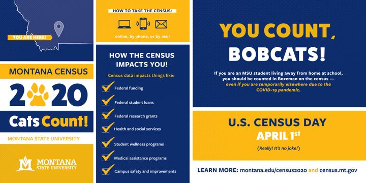 Bobcat participation in the 2020 census