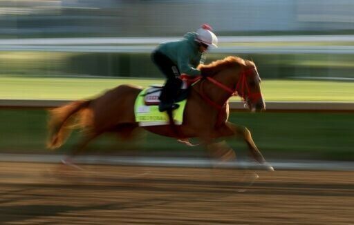The Puma out of Kentucky Derby, leaving 19 starters