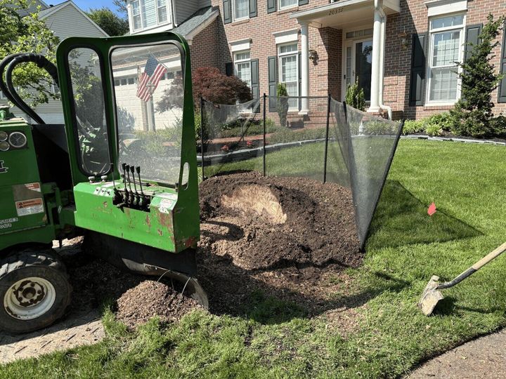 United Tree Care Opens New Manassas, VA Location to Expand Tree Care Services Across Northern Virginia