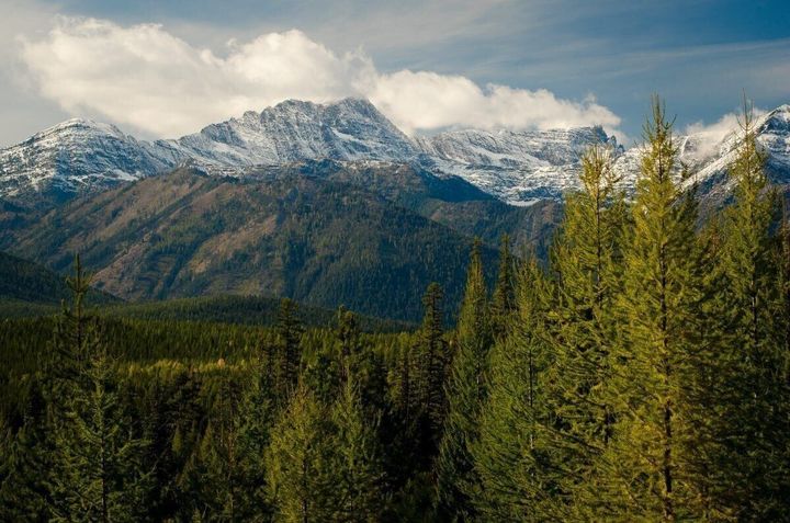 Groups sue Trump administration over Libby mine approval