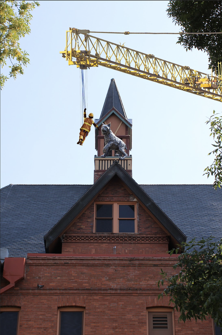 Wait, there's a ‘Cat in the cupola?